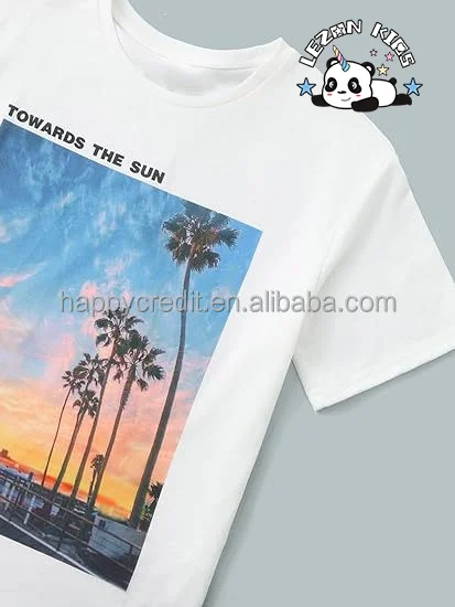 LEZONKIDS - Customizable Hot Sale 2 Piece Sets Cartoon Print Round Neck Short Sleeve Tee Shirts Plaid Shorts for Boys